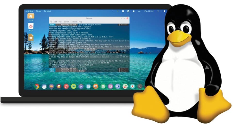 A laptop displaying a terminal window with code output set against a scenic background of trees and water, accompanied by the Tux penguin mascot of Linux.